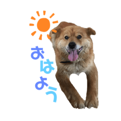 boo_20191004224341