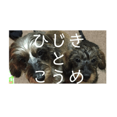 mako_20191004221019