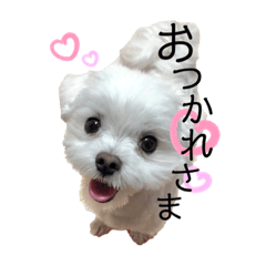 Hikaru_20191005104815