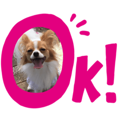 yukari_20191005122302