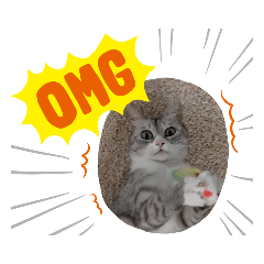 TAMY's stickers #1