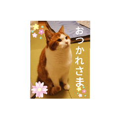 yukichan5
