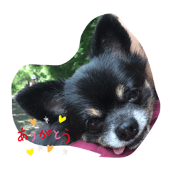yukko_20191005132104