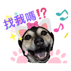 臭妹汪汪噠
