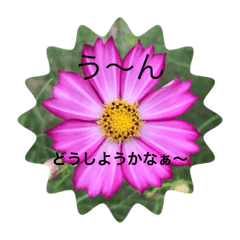 すてきなスタンプにしたよ - LINE スタンプ | LINE STORE