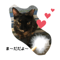 boo_20191005192547