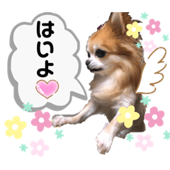 あたしが使いたいだけ