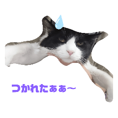 mochi_20191005200411