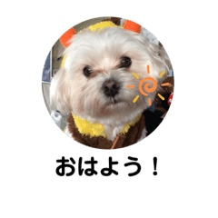 HAYATO_20191005201232