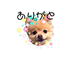 aoi_20191005201444