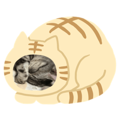 mizuki_20191005203708