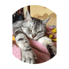 mizuki_20191005212955