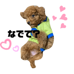 KAEDE_20191005214459