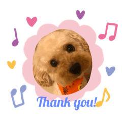 kinako_20191005040817