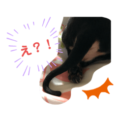 boo_20191005230156