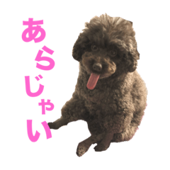 marina_20191005231335