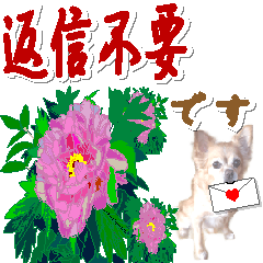 花と犬の敬語・丁寧会話