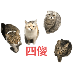 四傻part2