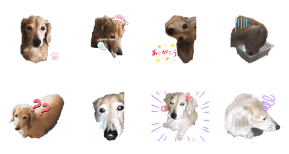 ミニチュアダックスフンドの Lineクリエイターズスタンプ Stamplist ミニチュアダックスフンドの Lineクリエイターズスタンプ Stamplist