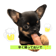 ACHI_20191006081910