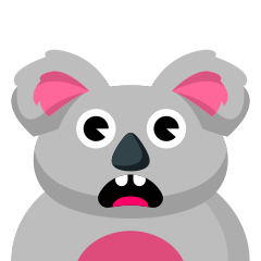 Kola : Cute Fat Grey Koala
