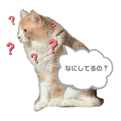 Chisato_20191006115249