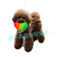 Kota_20191006141025