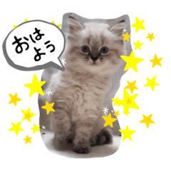 moko_20191006155705