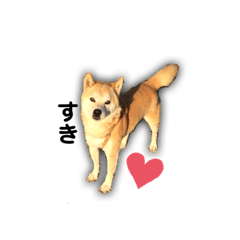 kota_20191006154314