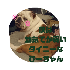 reiko_20191006151809