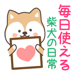Cute brown dog. Shiba Inu