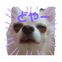chi_20191006205221