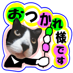 sticker japan cat&gin Photo version 11