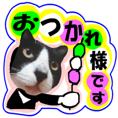 日本猫の銀 写真バージョン11 お疲れ様編 Line スタンプ Line Store 日本猫の銀 写真バージョン11 お疲れ様編 Line スタンプ Line Store