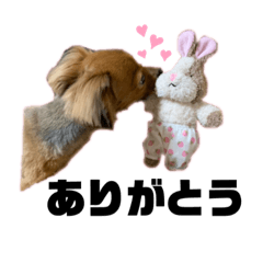 ＊ひーちゃんの日常＊