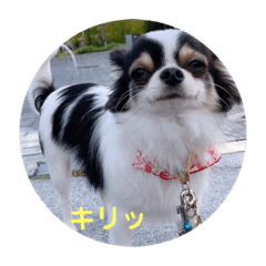 chi_20191006231924