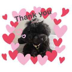 yoko_20191006233318y