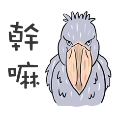 Kobe Animal Kingdom Official Sticker(TW)