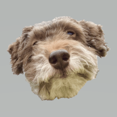His brother sticker