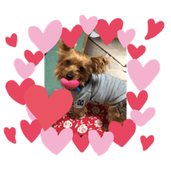 LUCY_20191006233838