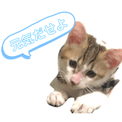 yuuki_20191007113505