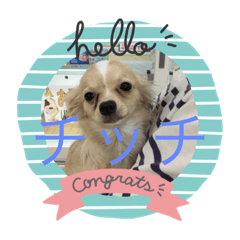 yukari_20191007094642