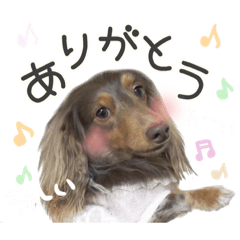 gomataro_20191007102813