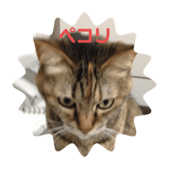 LUCY_20191007134105