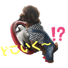 MARON_20191007151654