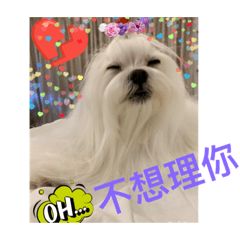 調皮搗蛋Alice