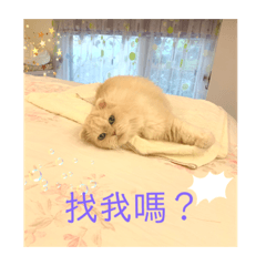 Mini超可愛