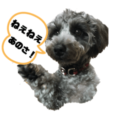 Haruna_20191007183025