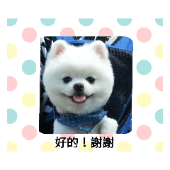 可愛的毛寶咻比