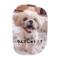 ASUKA_20191007194419